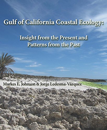 Beispielbild fr Gulf of California Coastal Ecology : Insights from the Present and Patterns from the Past zum Verkauf von Better World Books