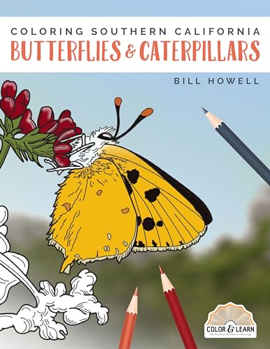 Beispielbild fr Coloring Southern California Butterflies and Caterpillars (Color Learn) zum Verkauf von Blue Vase Books