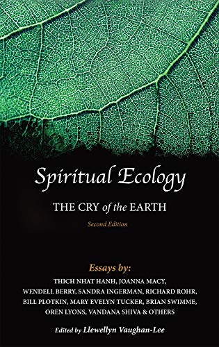 Imagen de archivo de Spiritual Ecology: The Cry of the Earth a la venta por Ergodebooks