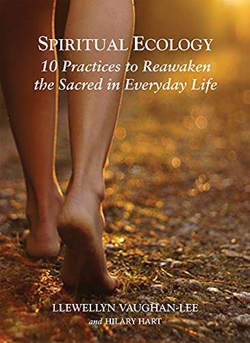 Stock image for Spiritual Ecology: 10 Practices to Reawaken the Sacred in Everyday Life for sale by HPB-Ruby