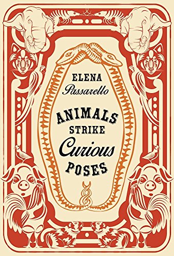 Beispielbild fr Animals Strike Curious Poses zum Verkauf von Better World Books