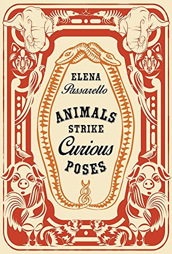 Imagen de archivo de Animals Strike Curious Poses a la venta por Better World Books