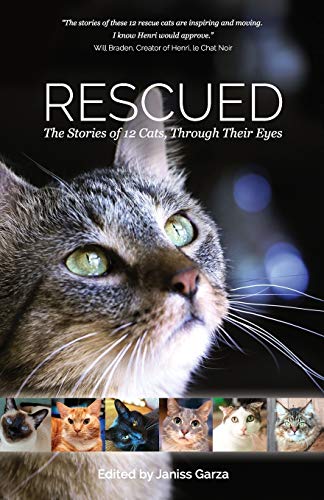 Stock image for Rescued, The Stories Of 12 Cats, Through Their Eyes: Volume 1 (2015 Copyright) for sale by ~Bookworksonline~