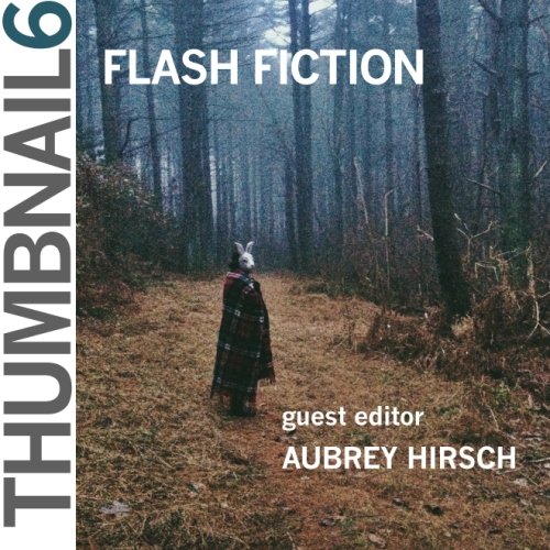 Beispielbild fr Thumbnail 6: Flash Fiction (Thumbnail Magazine) zum Verkauf von Revaluation Books