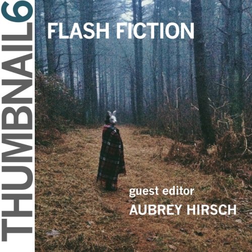 9781941462102: Thumbnail 6: Flash Fiction (Thumbnail Magazine)