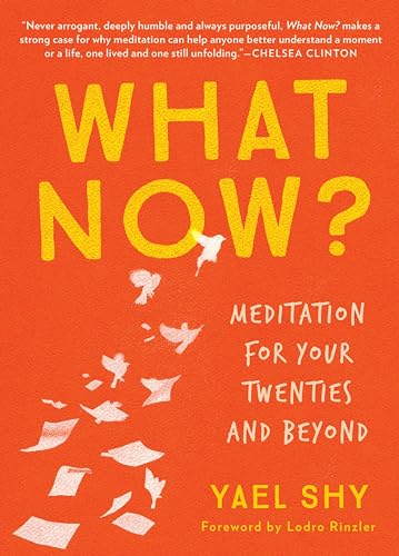 Stock image for What Now? : Meditation for Your Twenties and Beyond for sale by Better World Books