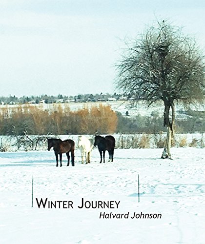 Imagen de archivo de Winter Journey a la venta por Revaluation Books