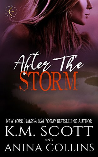 Beispielbild fr After The Storm: A Project Artemis Novel zum Verkauf von SecondSale