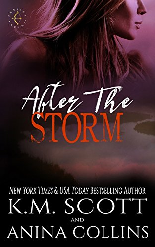 9781941594865: After The Storm: A Project Artemis Novel: Volume 2