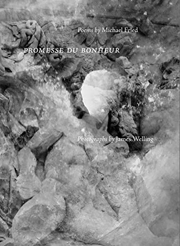 Stock image for Promesse Du Bonheur: Poems by Michael Fried, Photographs by James Welling for sale by Revaluation Books