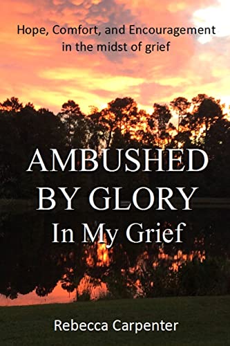 Beispielbild fr Ambushed by Glory in My Grief zum Verkauf von Better World Books