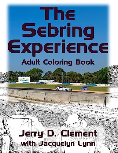 Stock image for The Sebring Experience for sale by Lucky's Textbooks