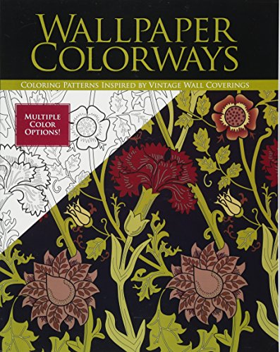 Stock image for Wallpaper Colorways: Coloring Patterns Inspired by Vintage Wall Coverings for sale by Ezekial Books, LLC
