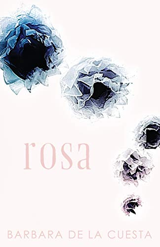 Stock image for Rosa (The Driftless Unsolicited Novella Series) for sale by Lucky's Textbooks
