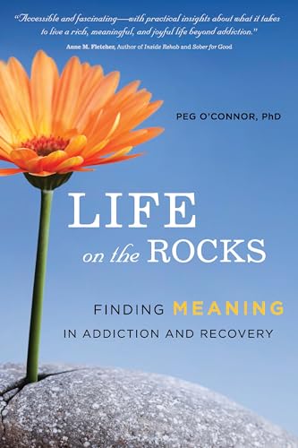 Beispielbild fr Life on the Rocks : Finding Meaning in Addiction and Recovery zum Verkauf von Better World Books