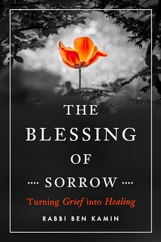 Stock image for The Blessing of Sorrow: Turning Grief into Healing for sale by ZBK Books