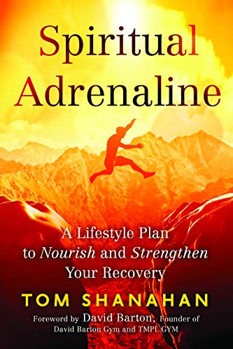 Imagen de archivo de Spiritual Adrenaline: A Lifestyle Plan to Nourish and Strengthen Your Recovery a la venta por BooksRun