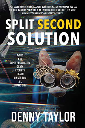 Imagen de archivo de Split Second Solution a la venta por AwesomeBooks