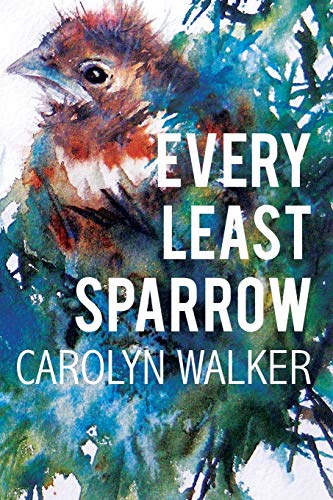 Imagen de archivo de Every Least Sparrow a la venta por SecondSale