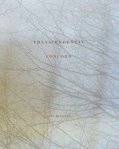 Stock image for Lisa McCarty: Transcendental Concord for sale by Front Cover Books