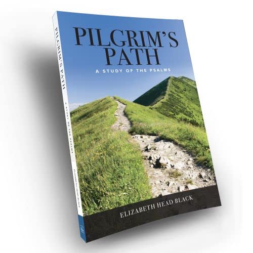 Stock image for Pilgrim's Path: A Study of the Psalms for sale by HPB-Emerald