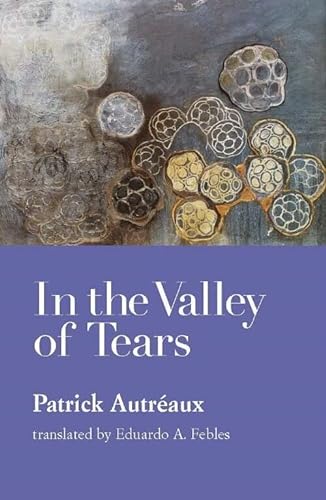 Beispielbild fr In the Valley of Tears zum Verkauf von Vashon Island Books