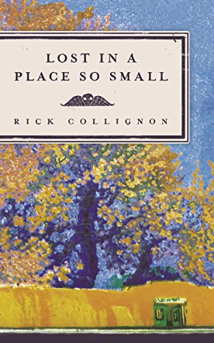 Imagen de archivo de Lost in a Place So Small: A Novel a la venta por Michael Lyons