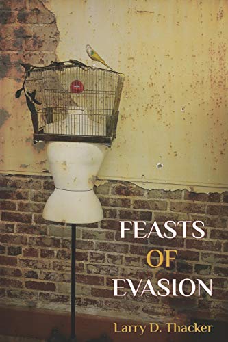 Stock image for Feasts of Evasion for sale by Book Lover's Warehouse