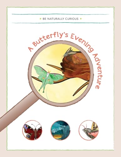Stock image for A Butterfly's Evening Adventure for sale by SecondSale