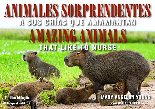 Imagen de archivo de Animales Sorprendentes / Amazing Animals - English &amp; Spanish Bilingual Edition a la venta por Blackwell's