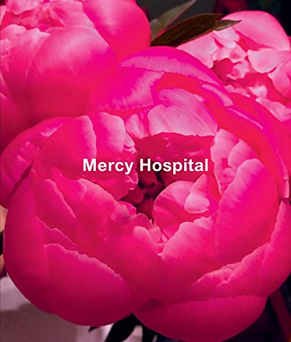 Stock image for Ida Applebroog: Mercy Hospital [Hardcover] Applebroog, Ida for sale by Lakeside Books