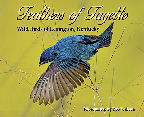 Beispielbild fr Feathers of Fayette Wild Birds of Lexington, Kentucky [Hardcover] Bob Willcutt zum Verkauf von Lakeside Books