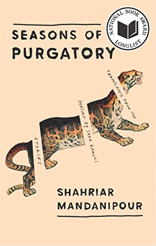 Imagen de archivo de Seasons of Purgatory a la venta por Dream Books Co.