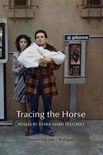 Stock image for Tracing the Horse for sale by Better World Books