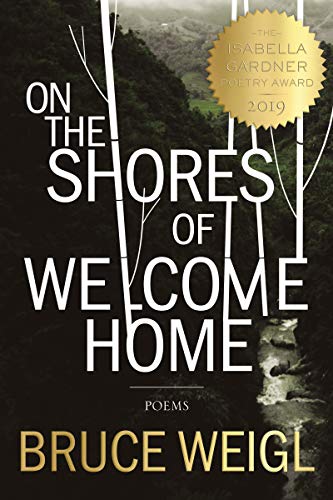 Stock image for On the Shores of Welcome Home (American Poets Continuum, 176) for sale by SecondSale