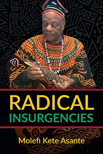 Stock image for Radical Insurgencies for sale by ThriftBooks-Dallas