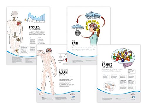 Stock image for Pain Neuroscience Posters for sale by GF Books, Inc.