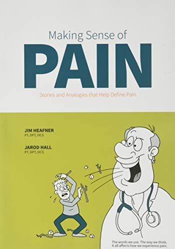 Stock image for Making Sense of Pain: Stories and Analogies that Help Define Pain for sale by Goldstone Books