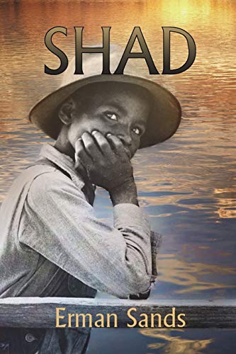 Stock image for Shad for sale by ThriftBooks-Atlanta