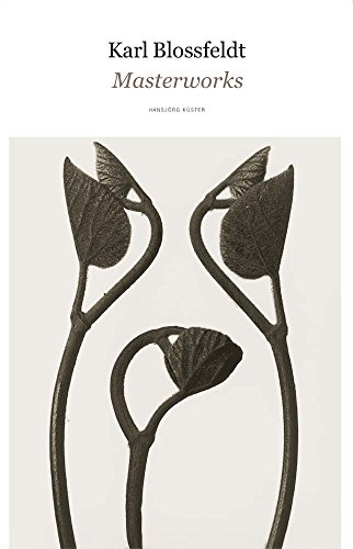 Stock image for Karl Blossfeldt: Masterworks for sale by Sunshine State Books