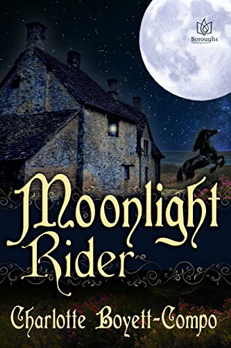 Imagen de archivo de Moonlight Rider a la venta por THE SAINT BOOKSTORE