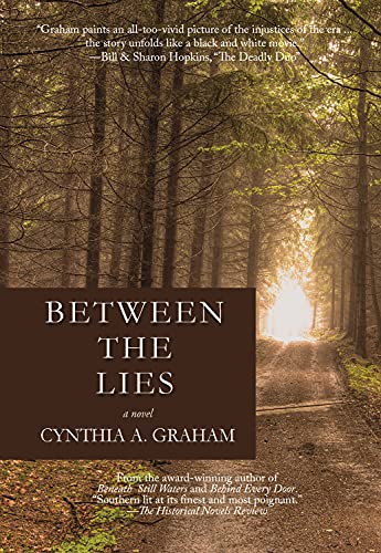 Beispielbild fr Between the Lies : A Novel zum Verkauf von Better World Books