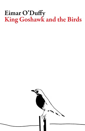 9781943150205: King Goshawk and the Birds (Irish Literature)
