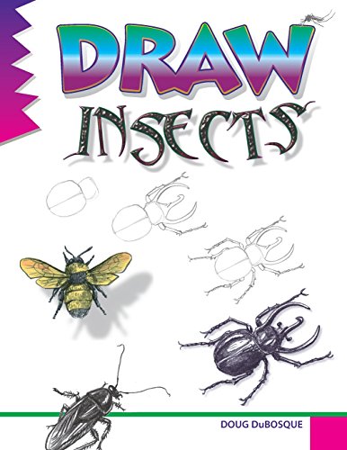 Stock image for Draw Insects for sale by Better World Books