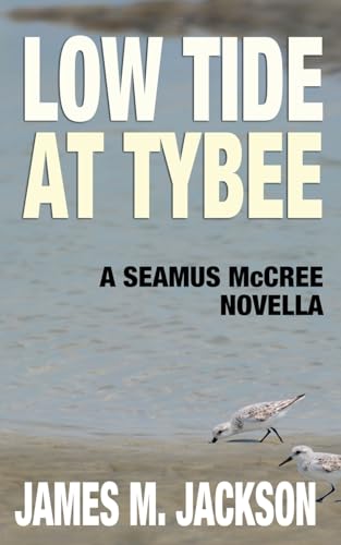 Stock image for Low Tide at Tybee: A Seamus McCree Novella for sale by Lucky's Textbooks