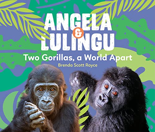 Stock image for Angela & Lulingu: Two Gorillas, a World Apart for sale by HPB-Emerald