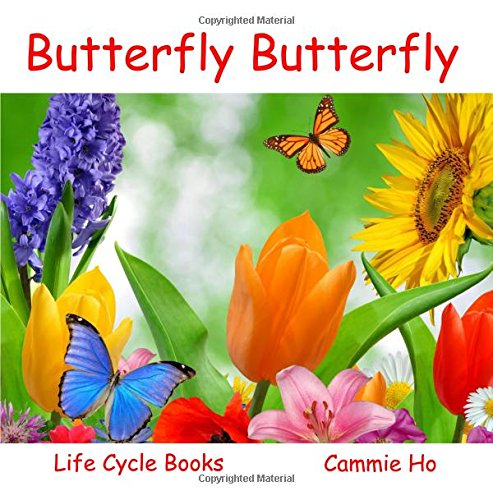 Beispielbild fr Butterfly Butterfly zum Verkauf von Better World Books