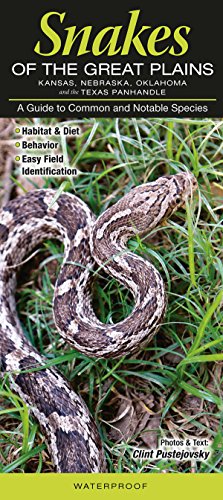 Stock image for Snakes of the Great Plains-Kansas, Nebraska, Oklahoma and the Texas Panhandle: A guide to Common and notable Species (Guide to Common & Notable Species) for sale by HPB-Emerald