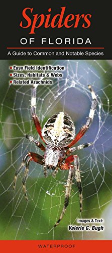 9781943334193: Spiders of Florida