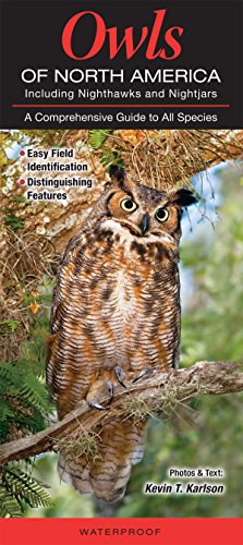 9781943334216: Owls of North America including Nighthawks and Nightjars